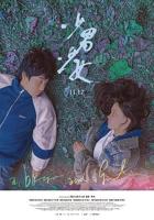 《少男少女》免费在线观看