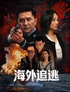 电影《海外追逃》在线观看